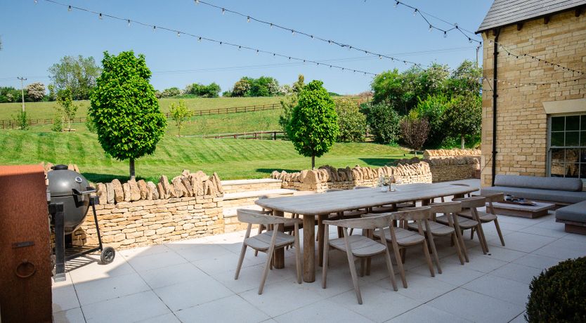 Photo of The Wisteria Bloom