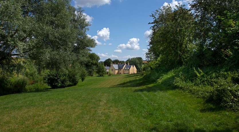 Photo of The Wisteria Bloom