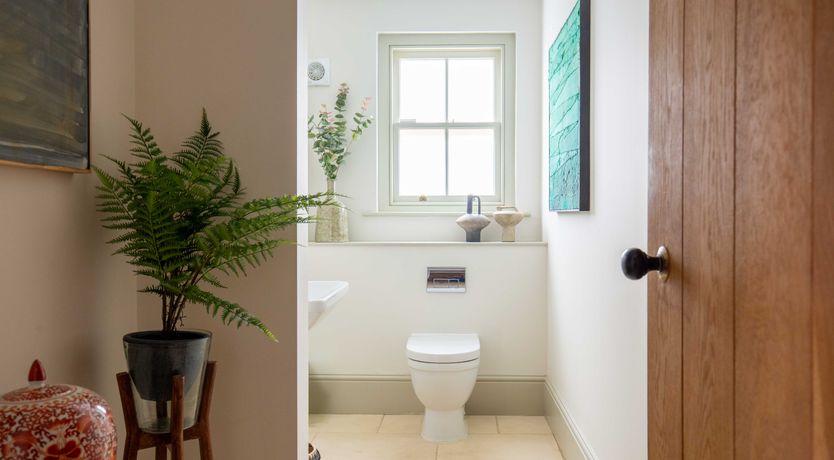 Photo of The Wisteria Bloom