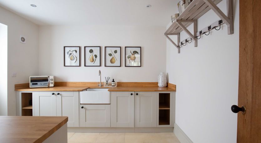 Photo of The Wisteria Bloom