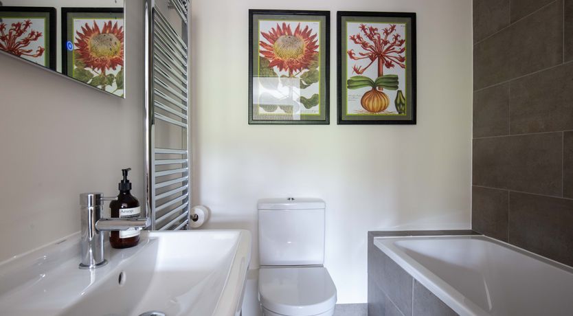 Photo of The Wisteria Bloom