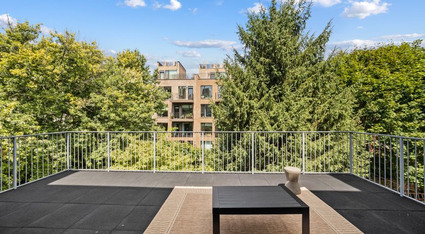 Photo of The Brooklynite