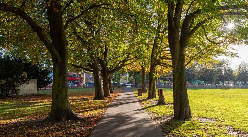 Photo of Forever Blowing Bubbles