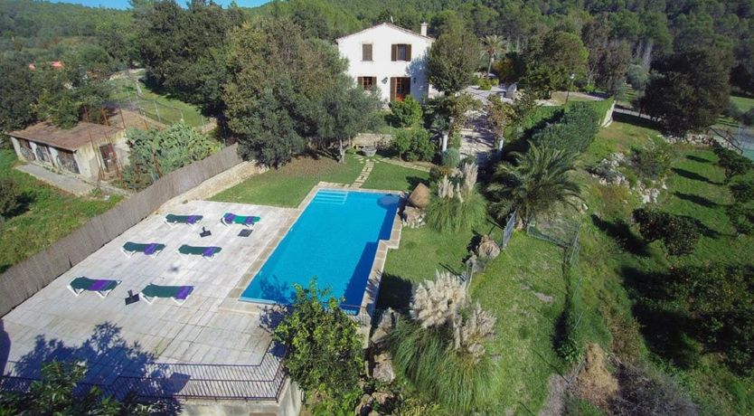 Photo of The Face of the Mountain