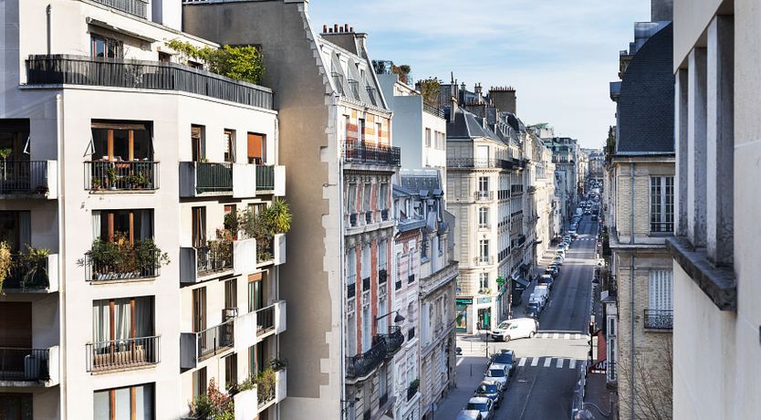 Photo of French Haze