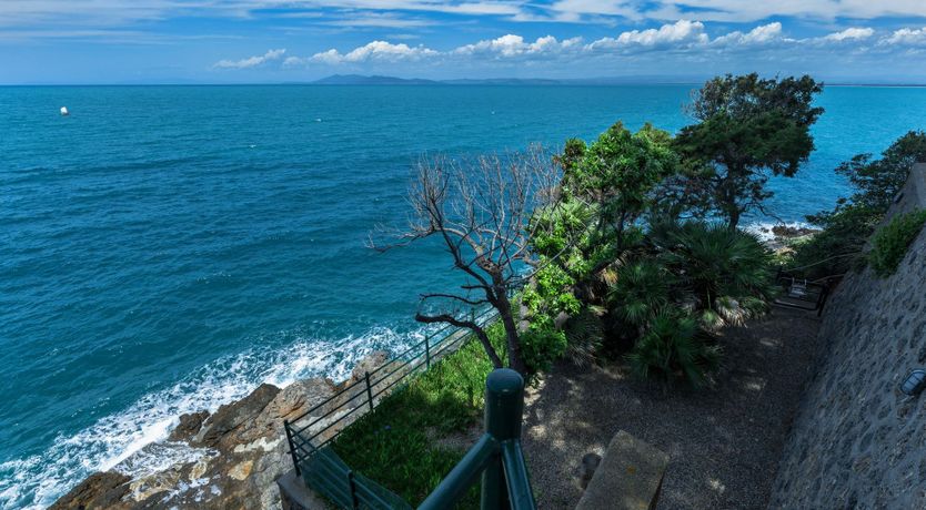 Photo of Bougainvillea & Pine