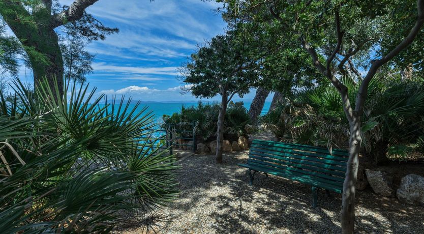 Photo of Bougainvillea & Pine