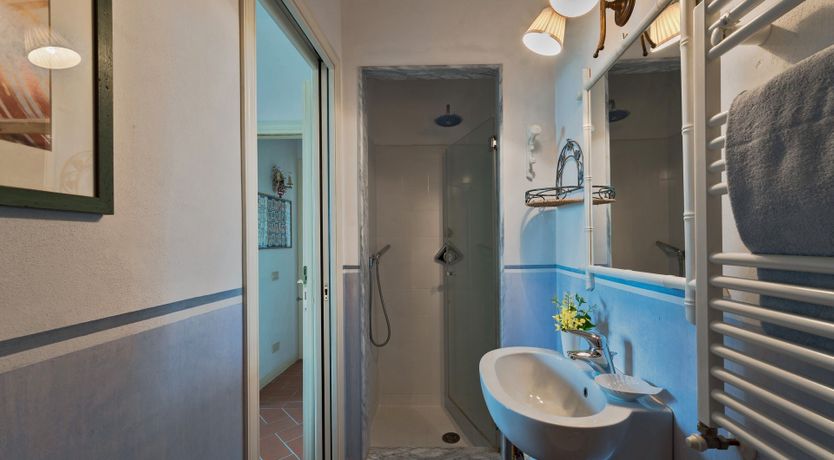 Photo of Bougainvillea & Pine