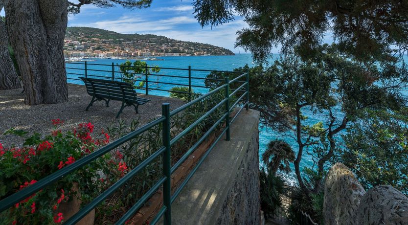 Photo of Bougainvillea & Pine