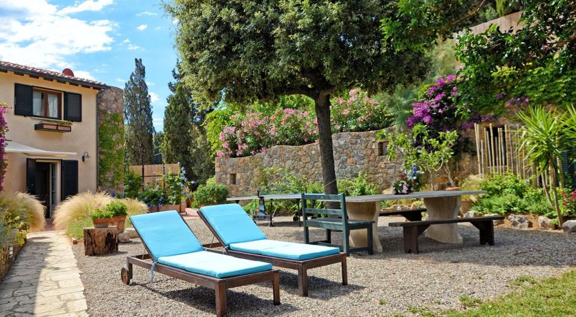 Photo of Bougainvillea & Pine