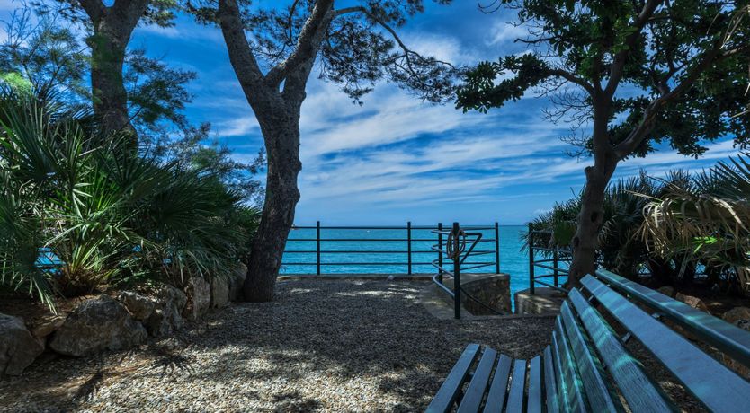 Photo of Bougainvillea & Pine