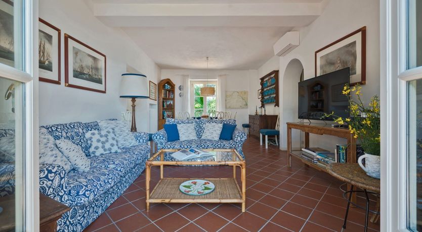 Photo of Bougainvillea & Pine