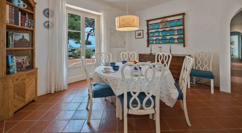 Photo of Bougainvillea & Pine