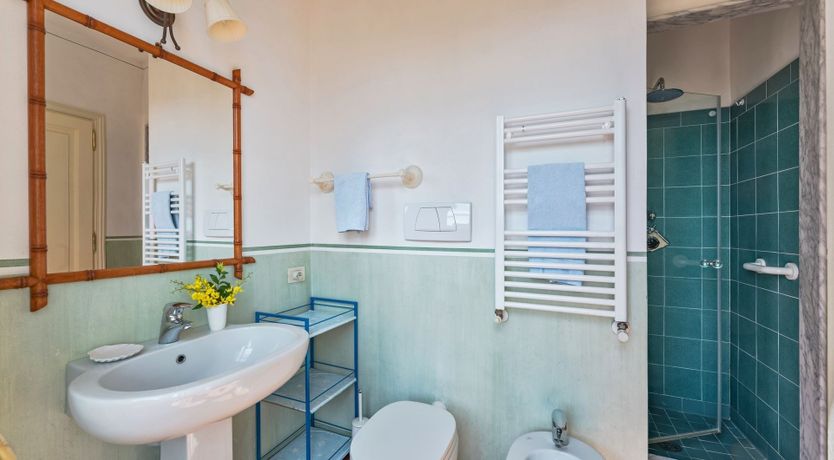 Photo of Bougainvillea & Pine