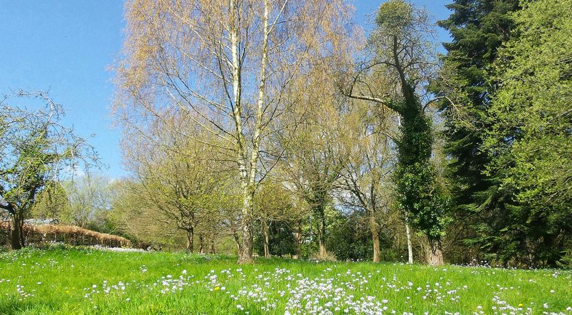 Photo of The Forester