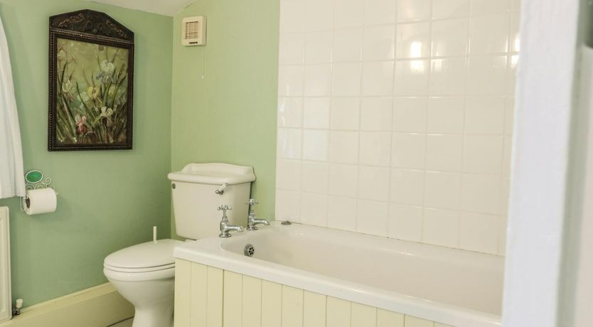 Photo of The Forester