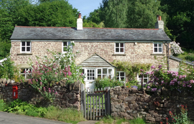Photo of the-forester