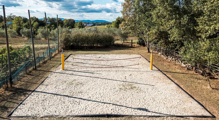 Photo of Green & White