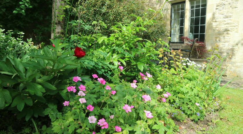 Photo of Geranium & Oak