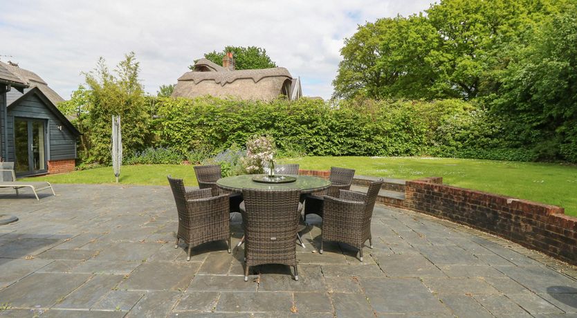 Photo of New Forest Delight