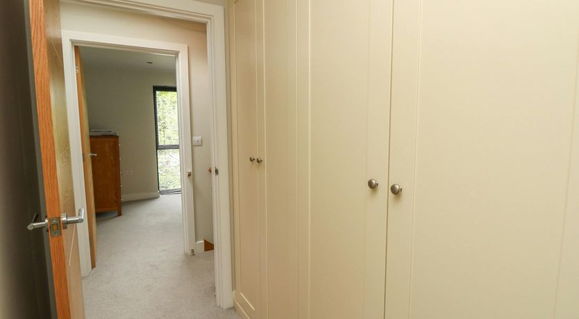 Photo of New Forest Delight