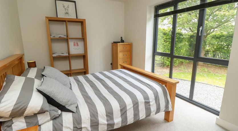 Photo of New Forest Delight