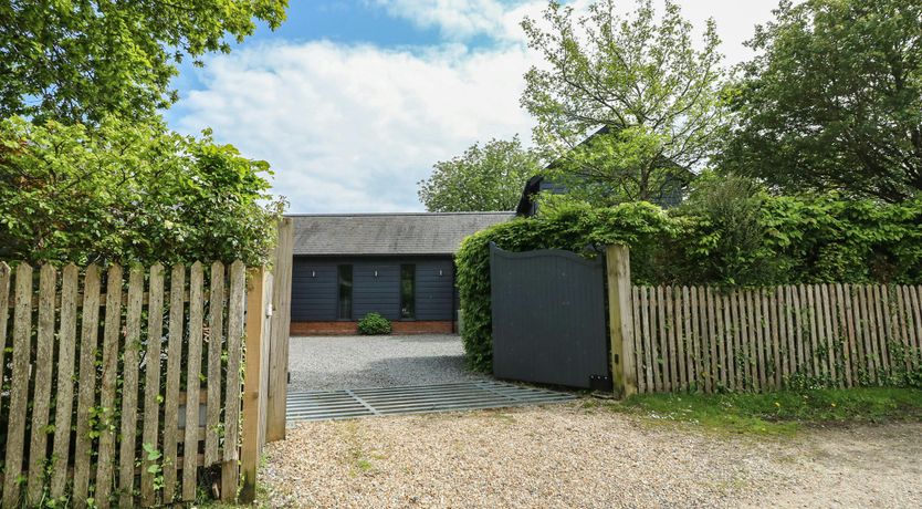 Photo of New Forest Delight