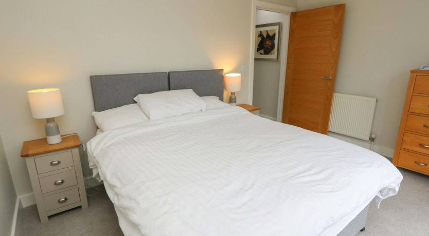 Photo of New Forest Delight