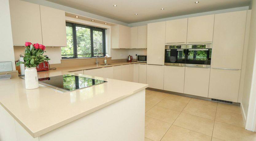 Photo of New Forest Delight