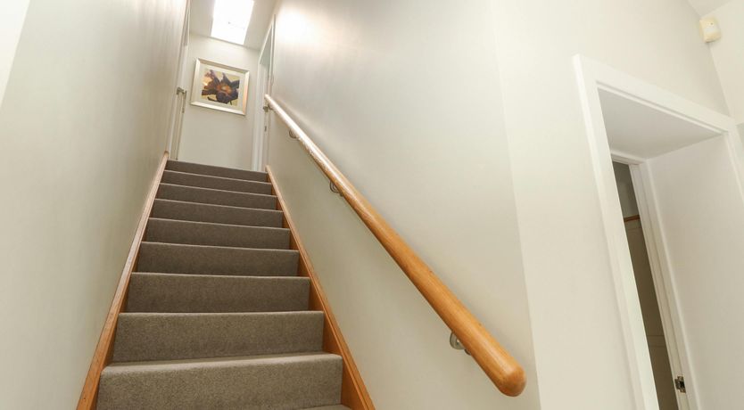 Photo of New Forest Delight