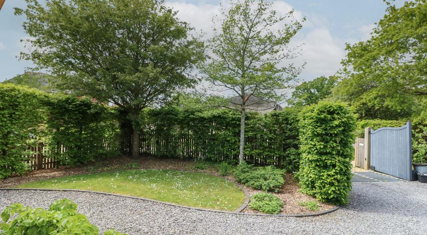 Photo of New Forest Delight