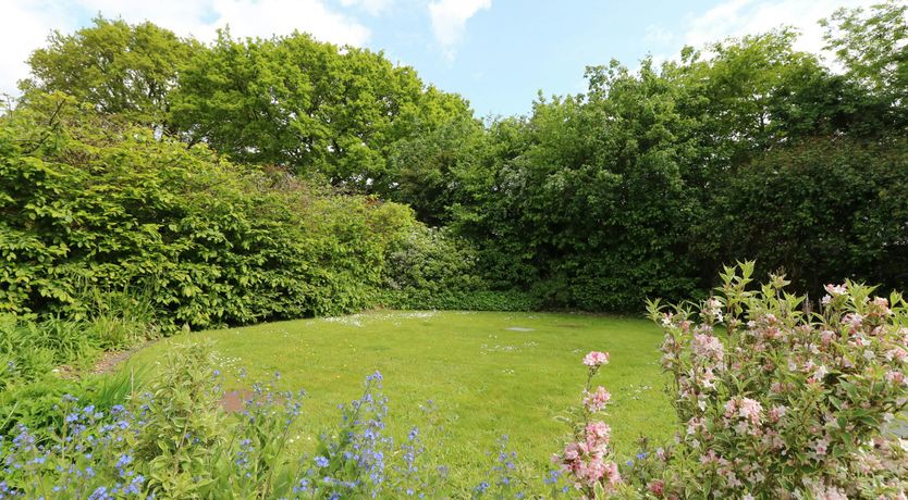 Photo of New Forest Delight