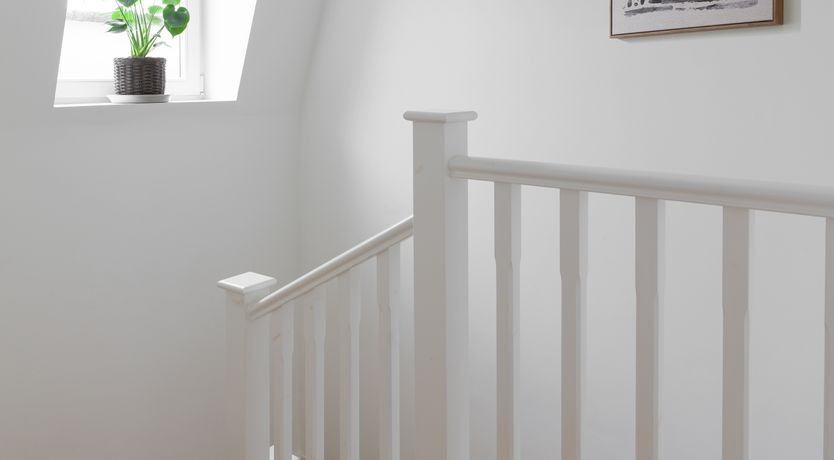 Photo of Heath & Heart