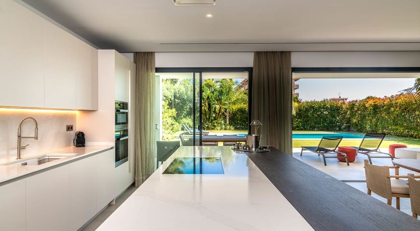 Photo of The Shimmer