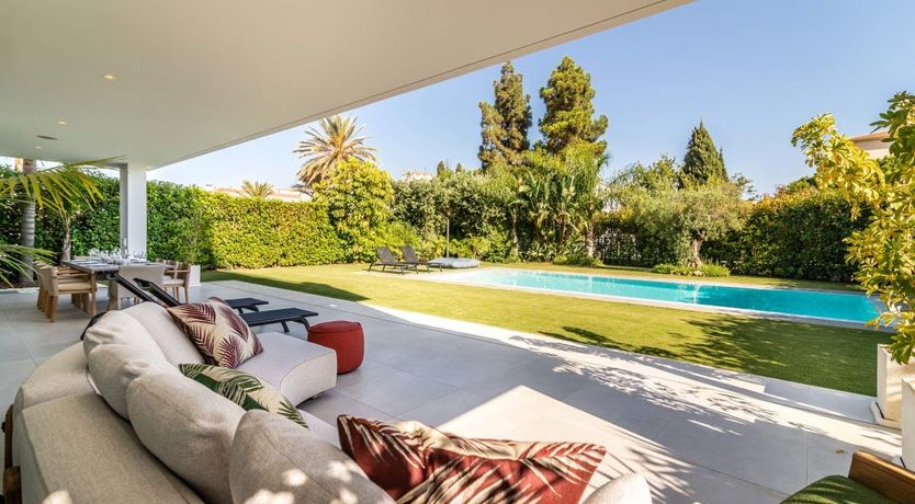 Photo of The Shimmer