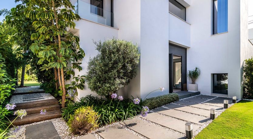 Photo of The Shimmer