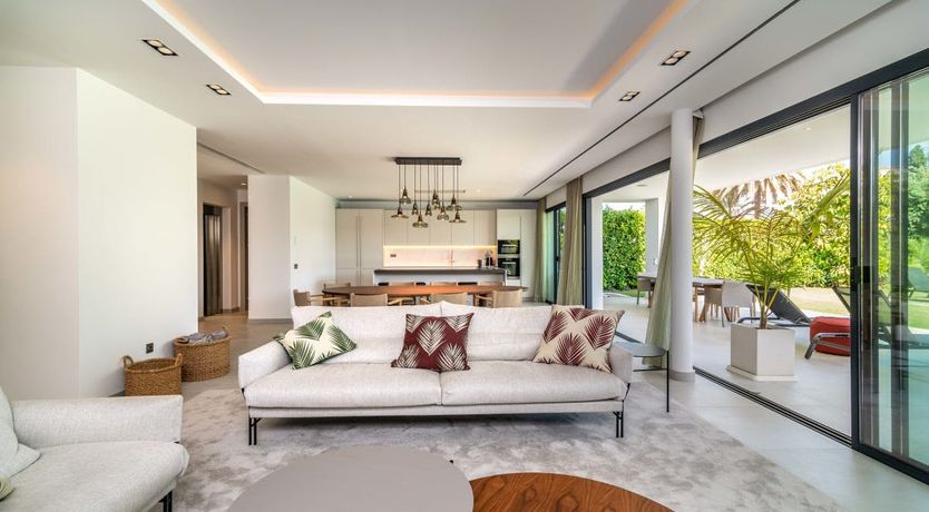 Photo of The Shimmer