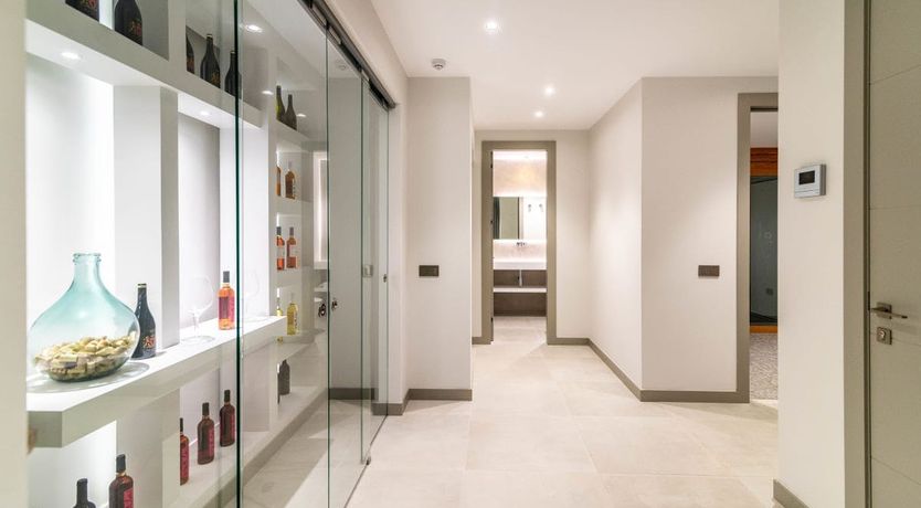 Photo of The Shimmer