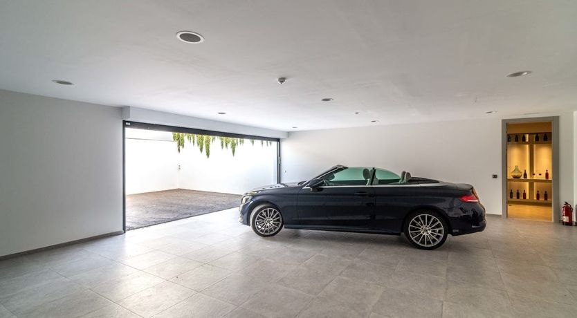 Photo of The Shimmer