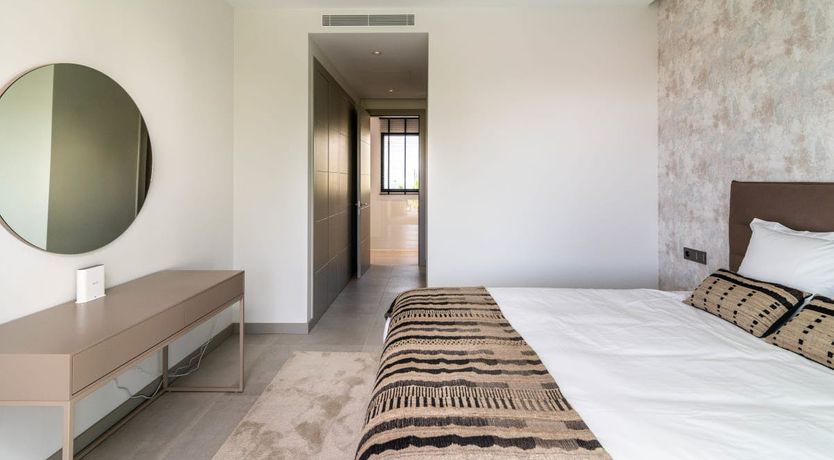 Photo of The Shimmer