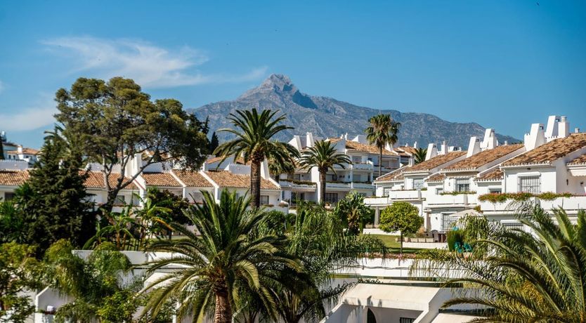 Photo of The Shimmer