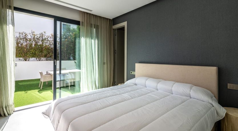 Photo of The Shimmer