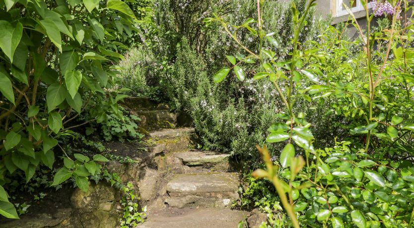 Photo of Wye Valley Views