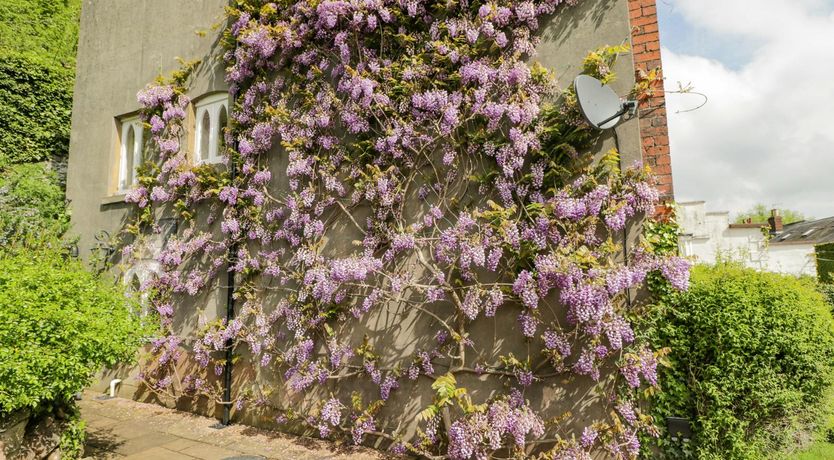 Photo of Wye Valley Views