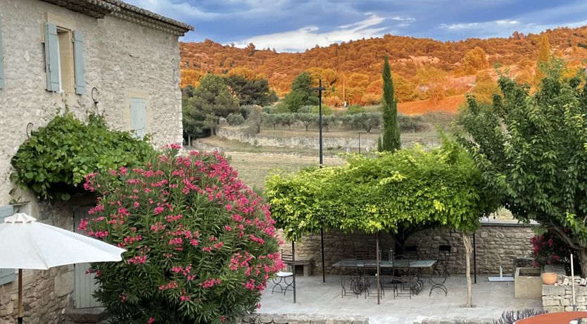 Photo of Lavender Sunsets