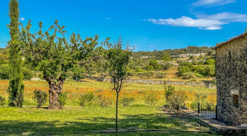 Photo of Lavender Sunsets
