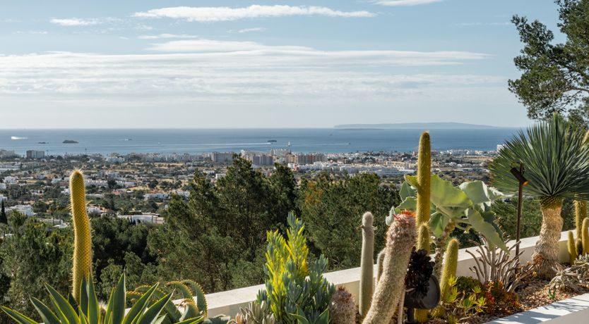 Photo of Mediterranean Sunlight