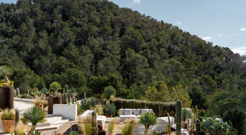 Photo of Mediterranean Sunlight