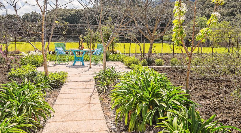 Photo of Villa Colonya Jaume