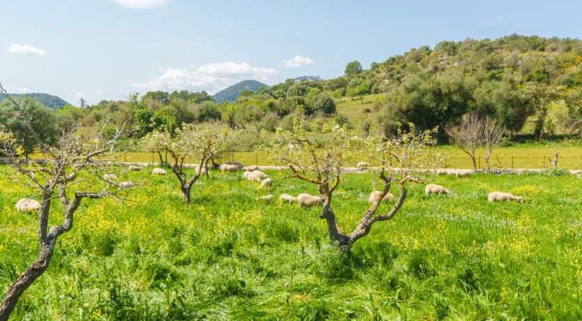 Photo of Paratge de Fangar